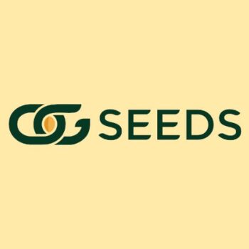 OG Seeds Coupons